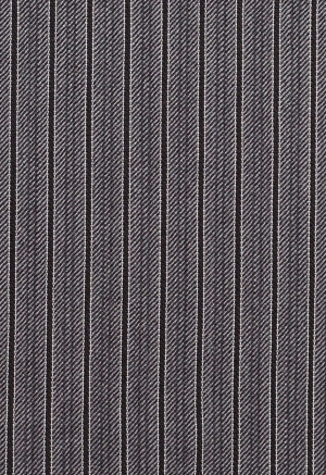 Pantalón de Rayas Gris y...