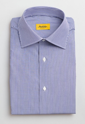 Hayes Striped Shirt