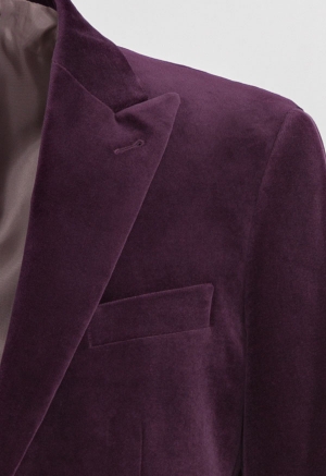 Fitzroy Bordeaux Velvet Blazer